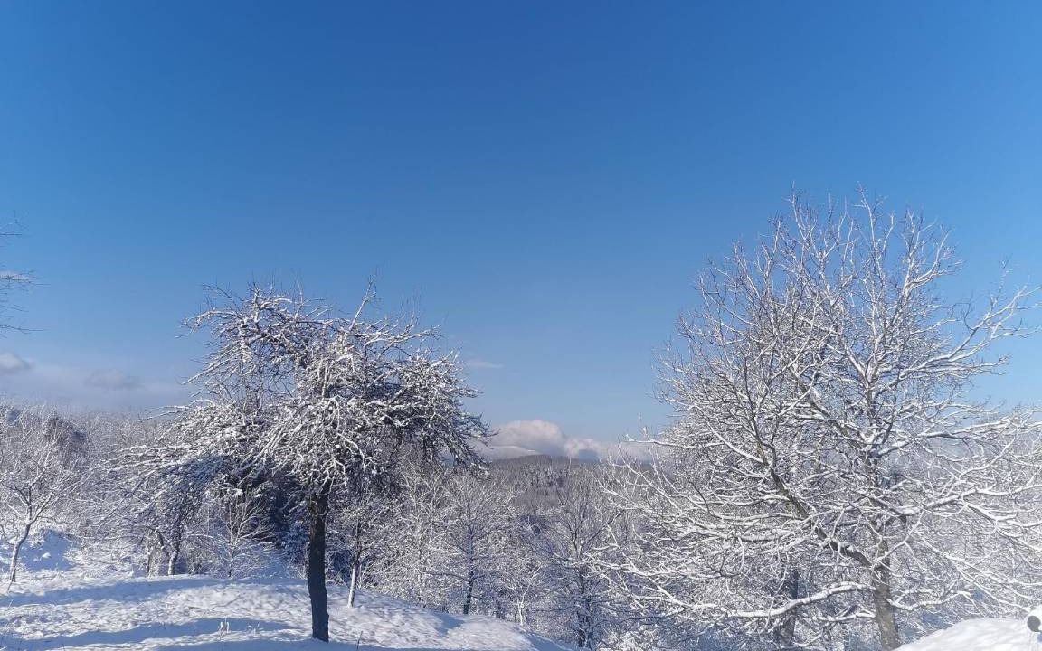 Photo of Others in Brod Moravice