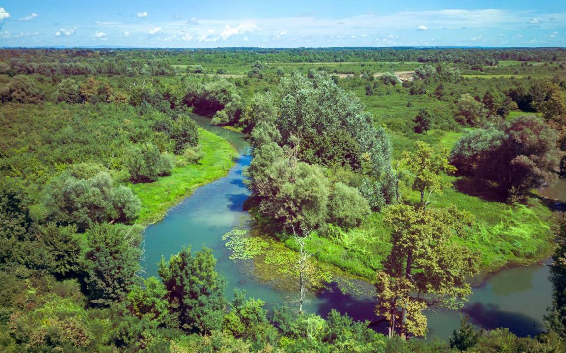 Photo of Others in Kravarsko