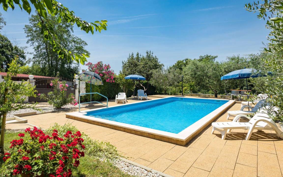 Photo of Others in Medvidici