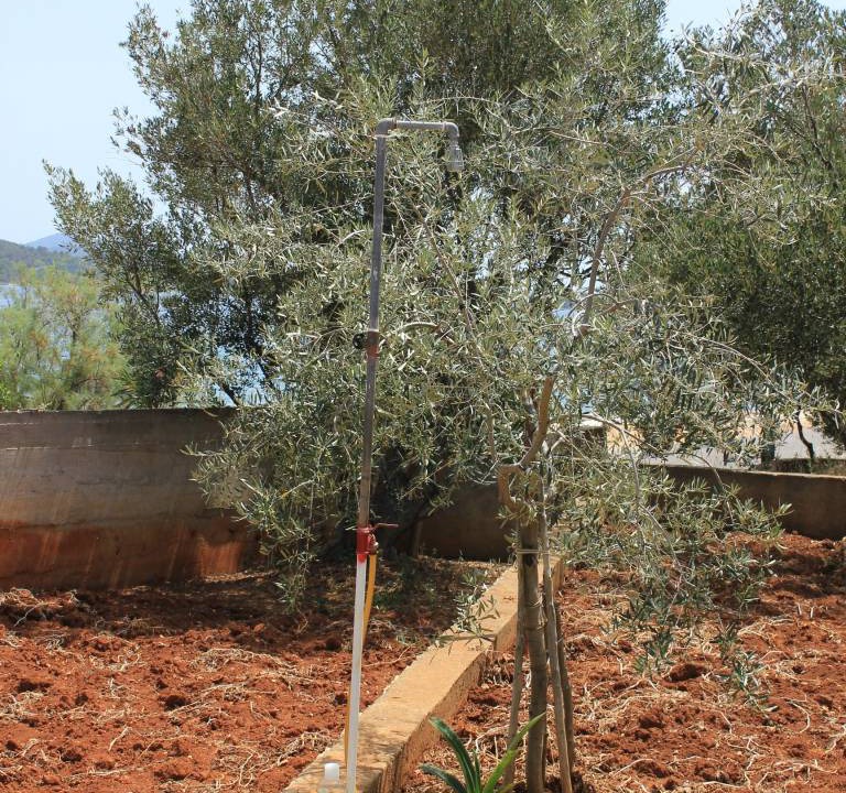 Photo of Outdoor in Municipality of Kali