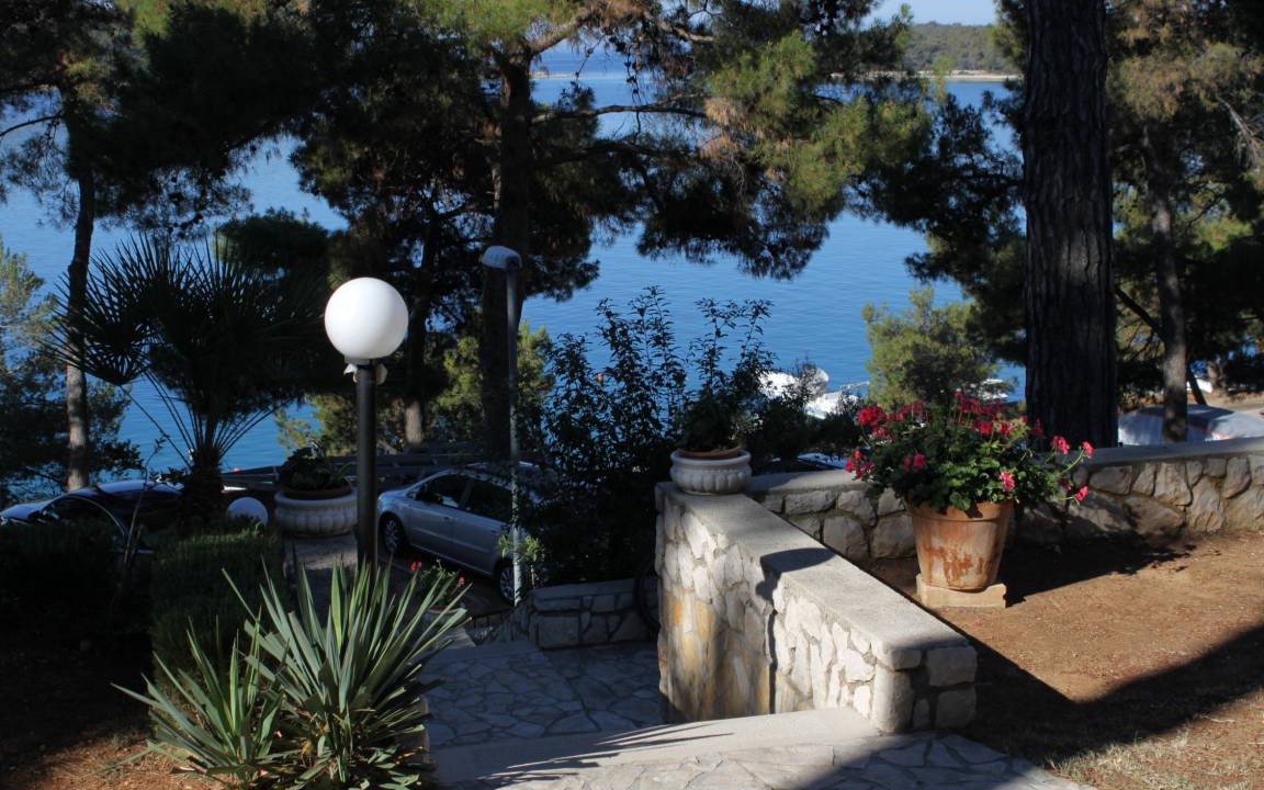Photo of Others in Cove Murtar