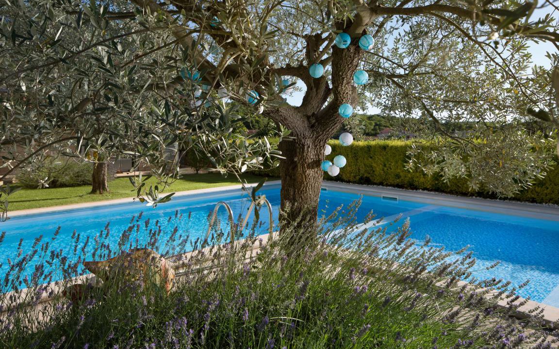 Photo of Others in Sorici