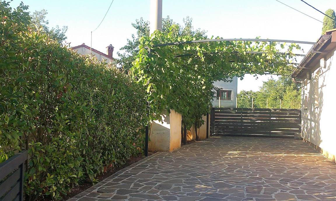 Photo of Others in Kosinozici