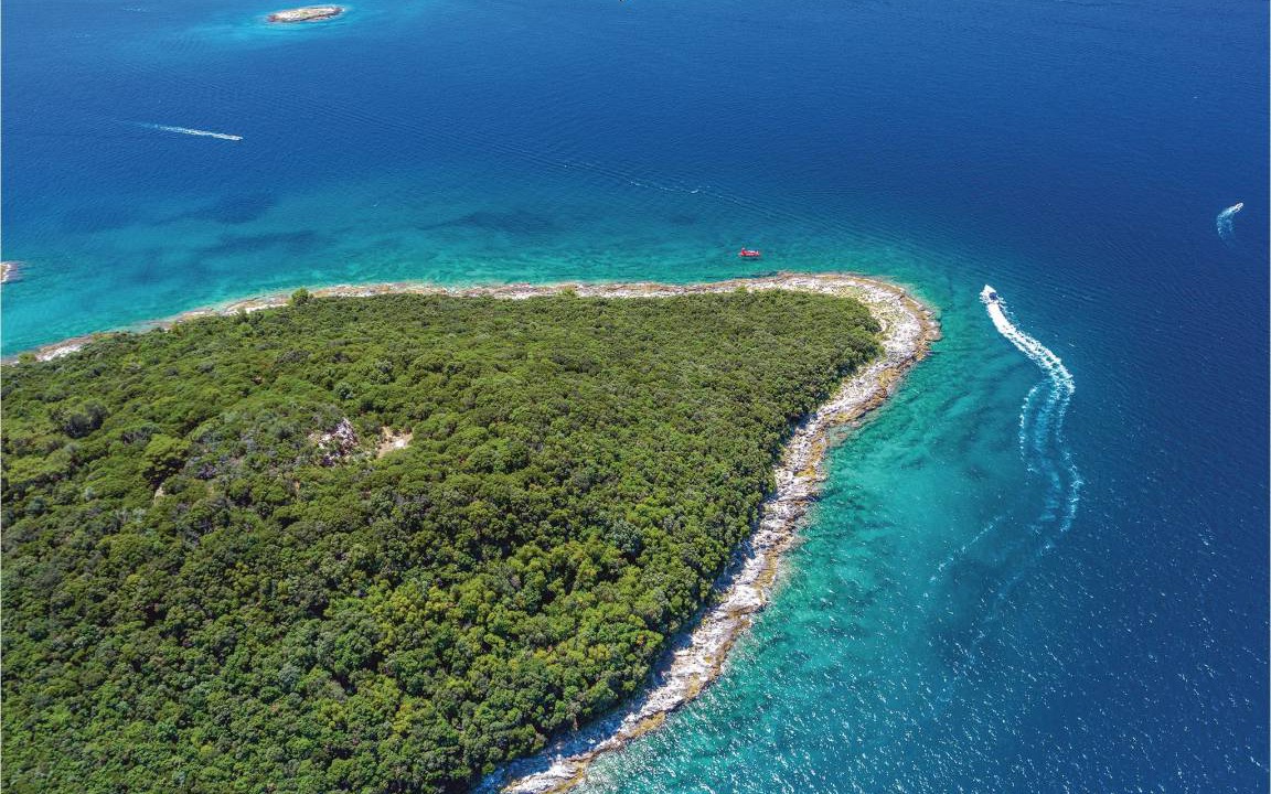 Photo of Others in Flengi