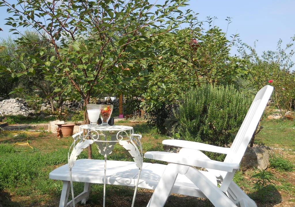 Photo of Others in Sutomiscica