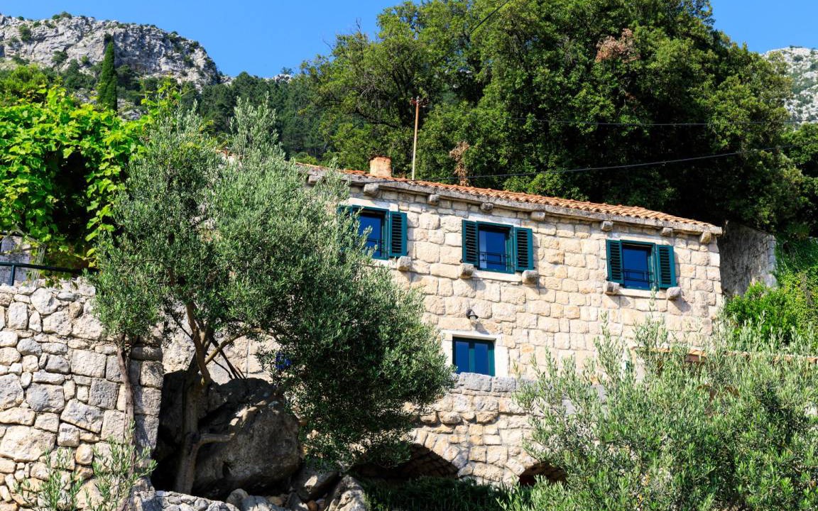 Photo of Others in Mihanici