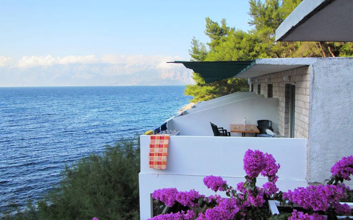 Photo of Others in Bogomolje