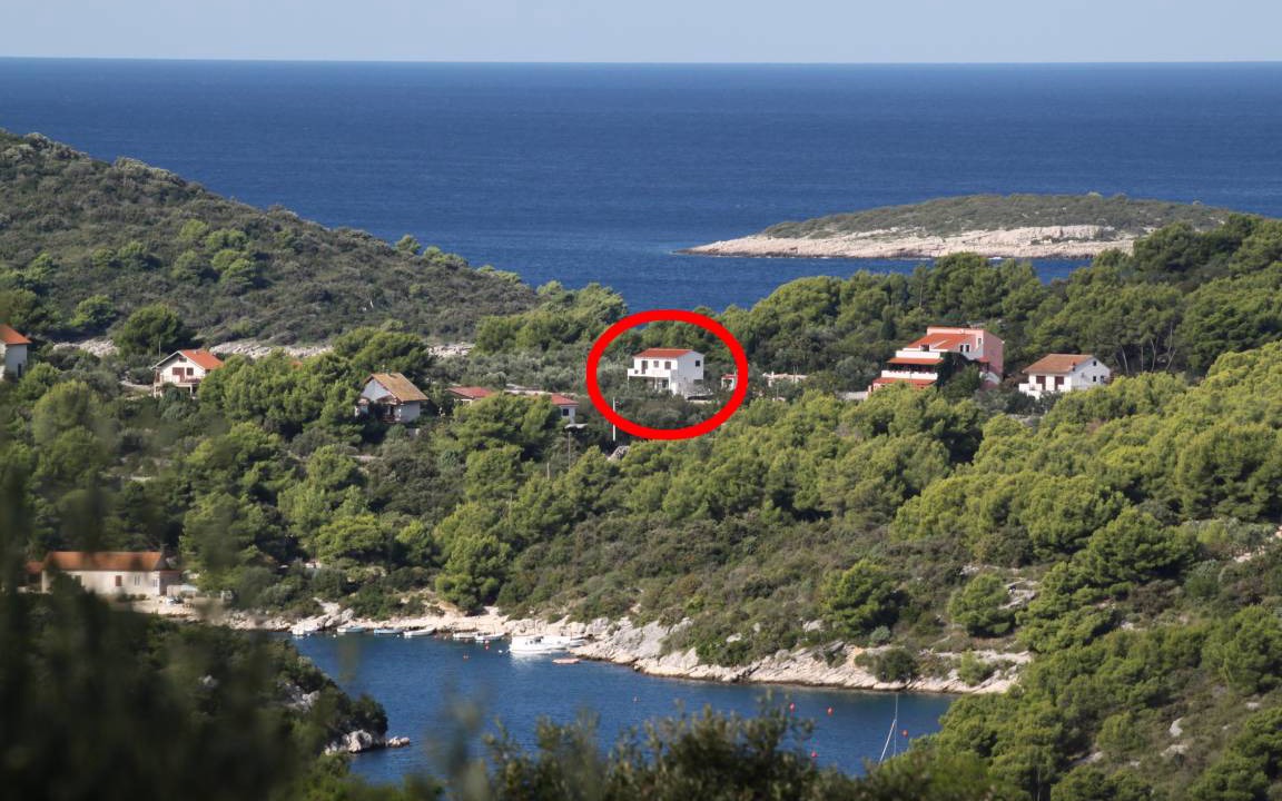 Photo of Others in Maslinica