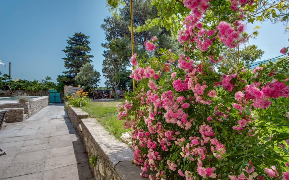 Photo of Others in Mali Losinj