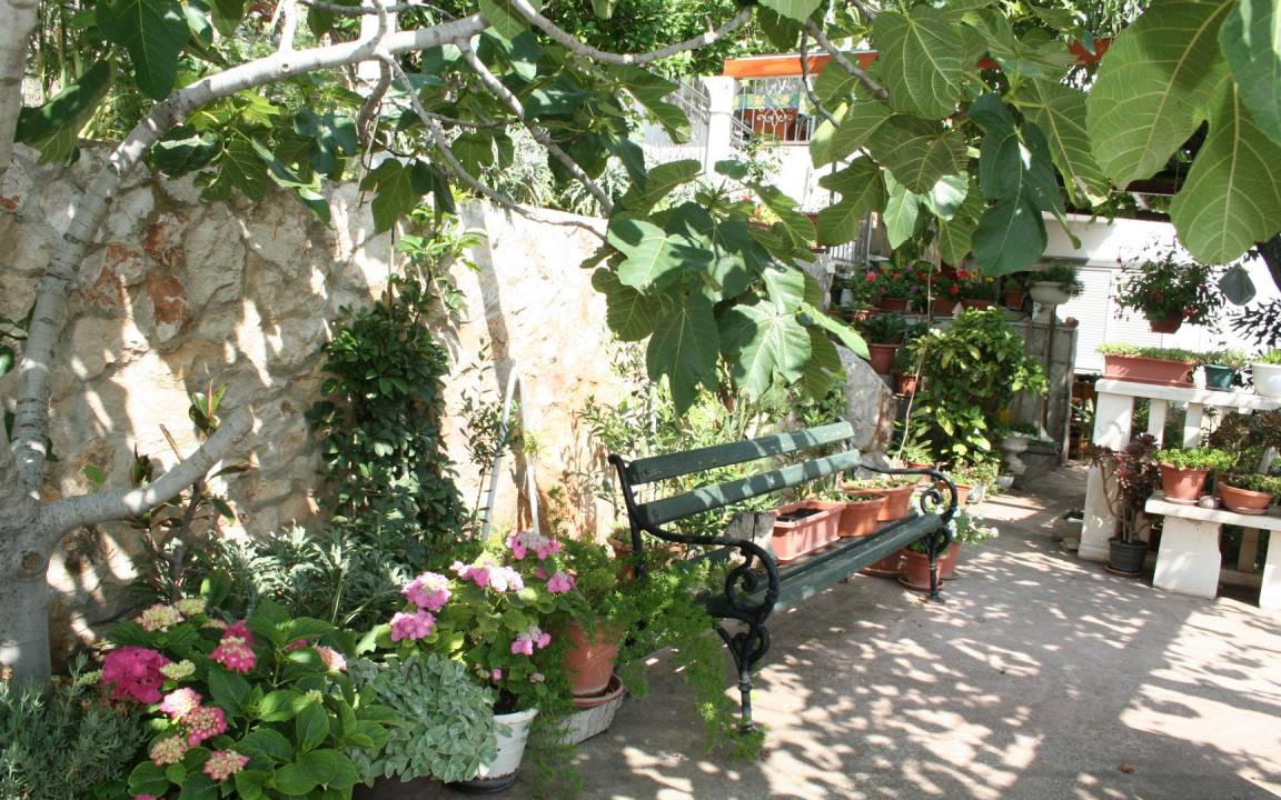 Photo of Others in Trstenik