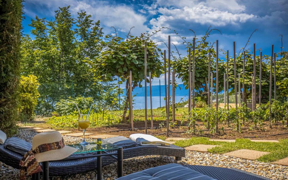 Photo of Others in Buzdohanj