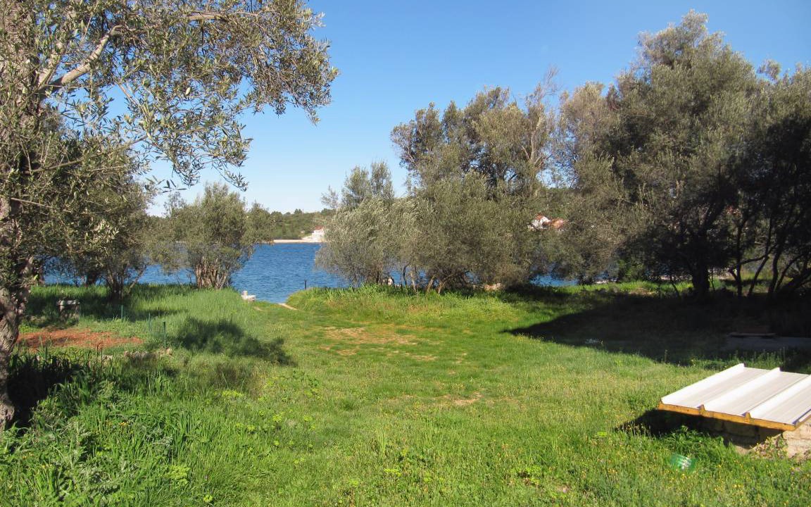 Photo of Others in Luka