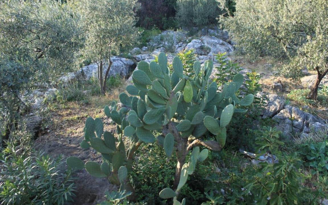 Photo of Others in Molunat