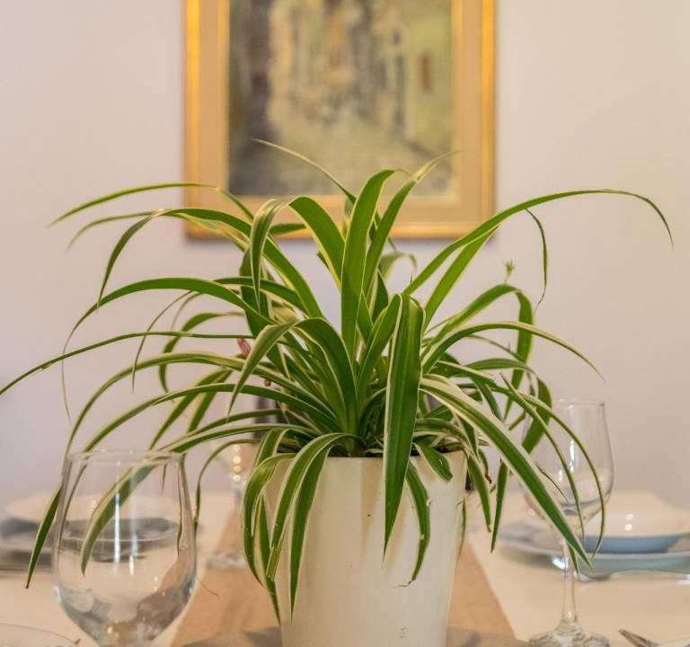 Photo of Others in Buzdohanj