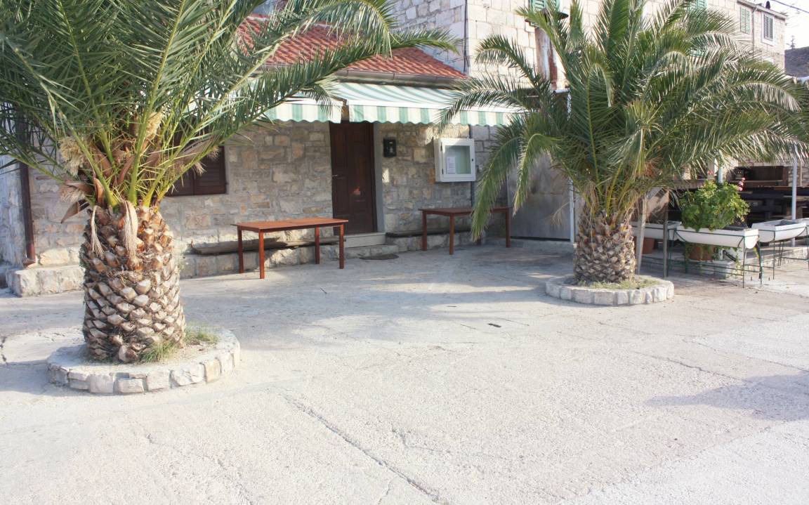 Photo of Others in Maslinica