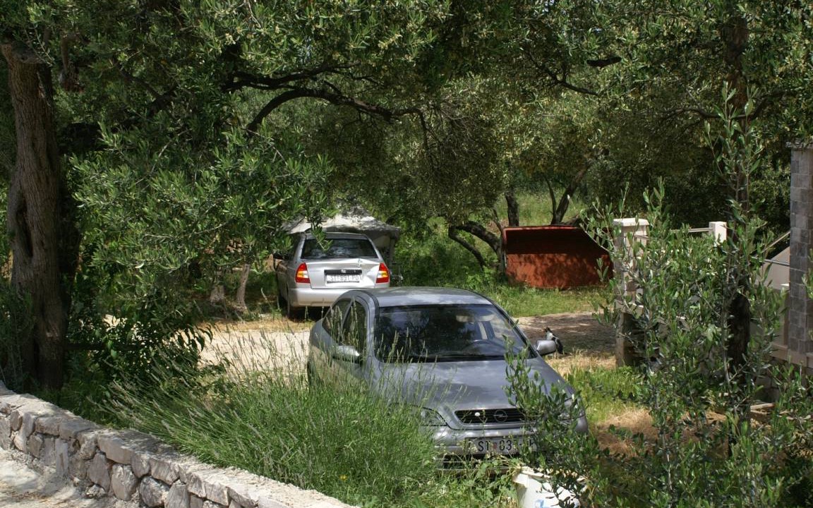 Photo of Others in Duba Peljeska