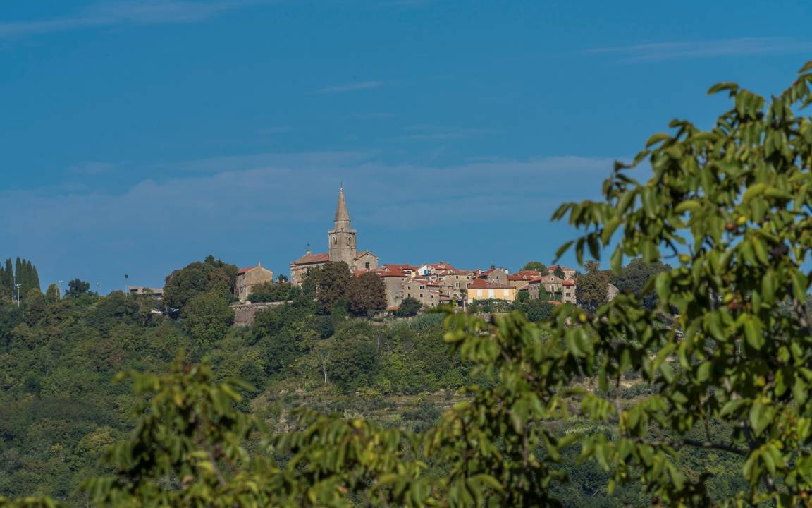Photo of Others in Groznjan