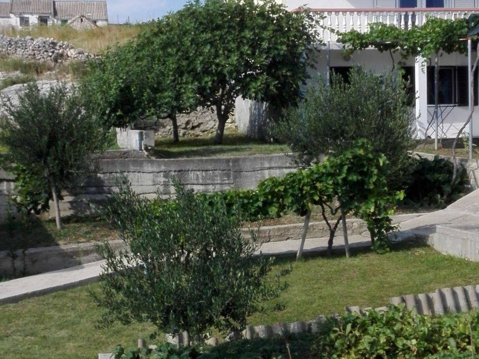 Photo of Others in Rtina
