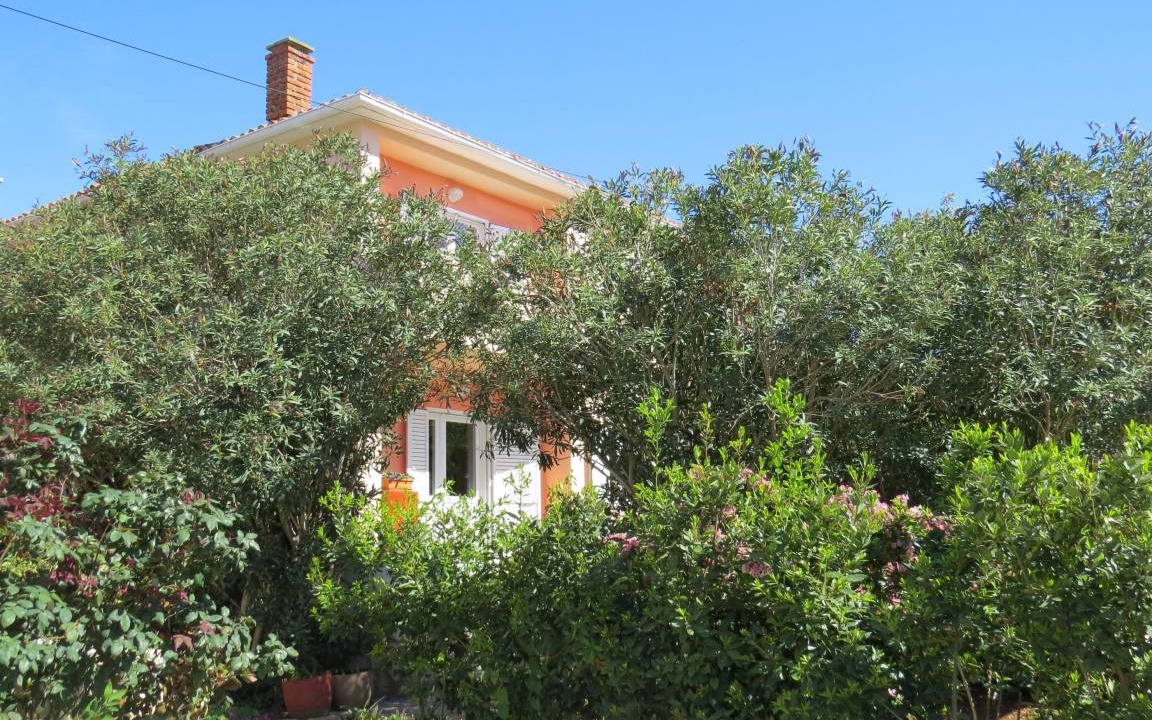 Photo of Others in Zrce