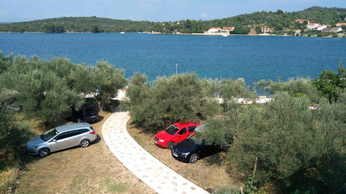 Photo of Others in Luka