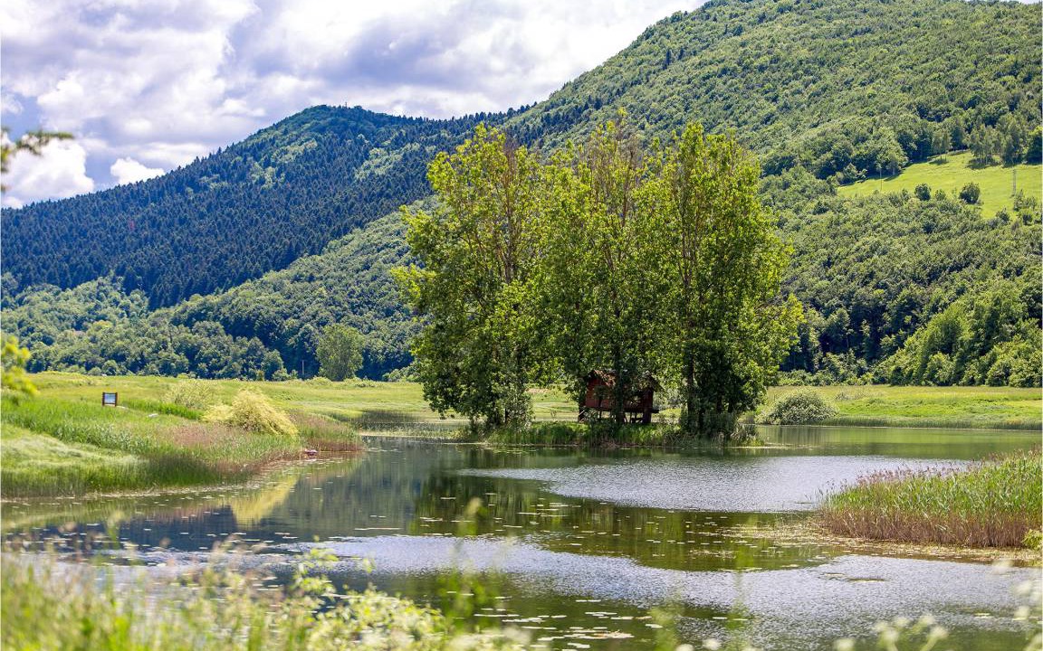Photo of Others in Prokike