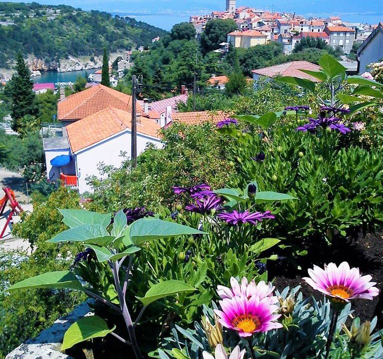 Photo of Others in Vrbnik