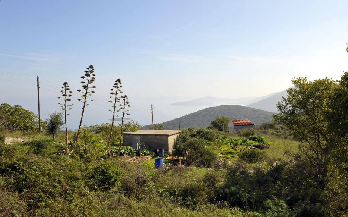 Photo of Others in Dragove