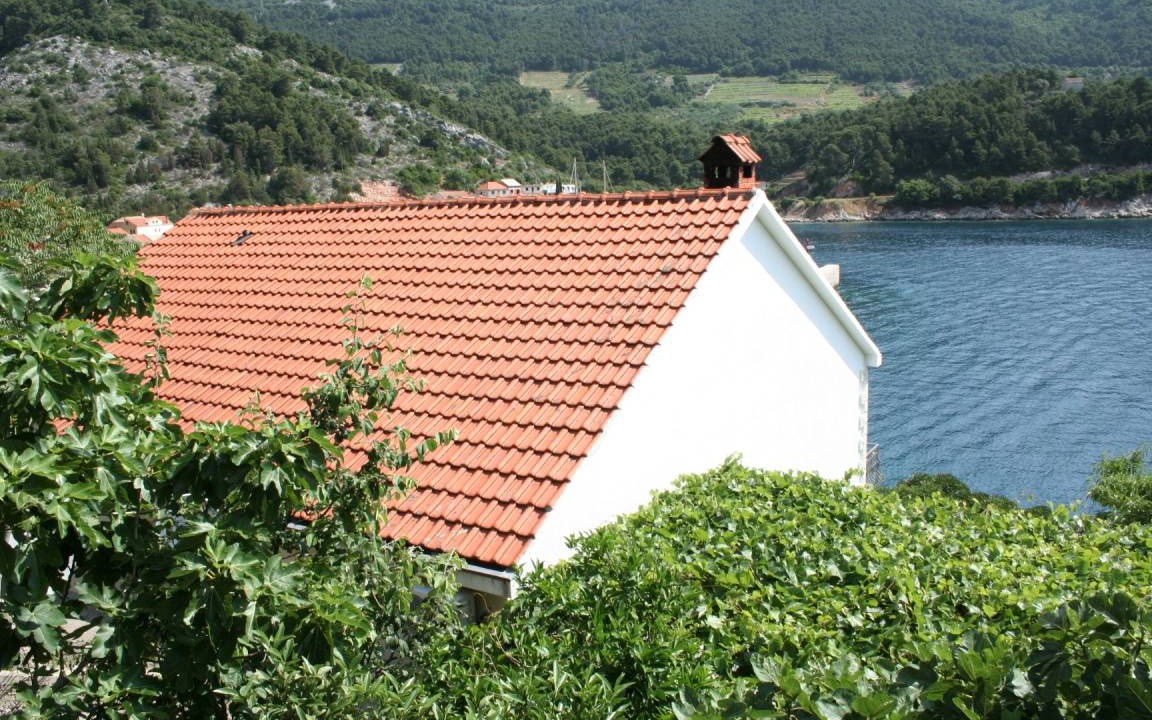 Photo of Others in Trstenik