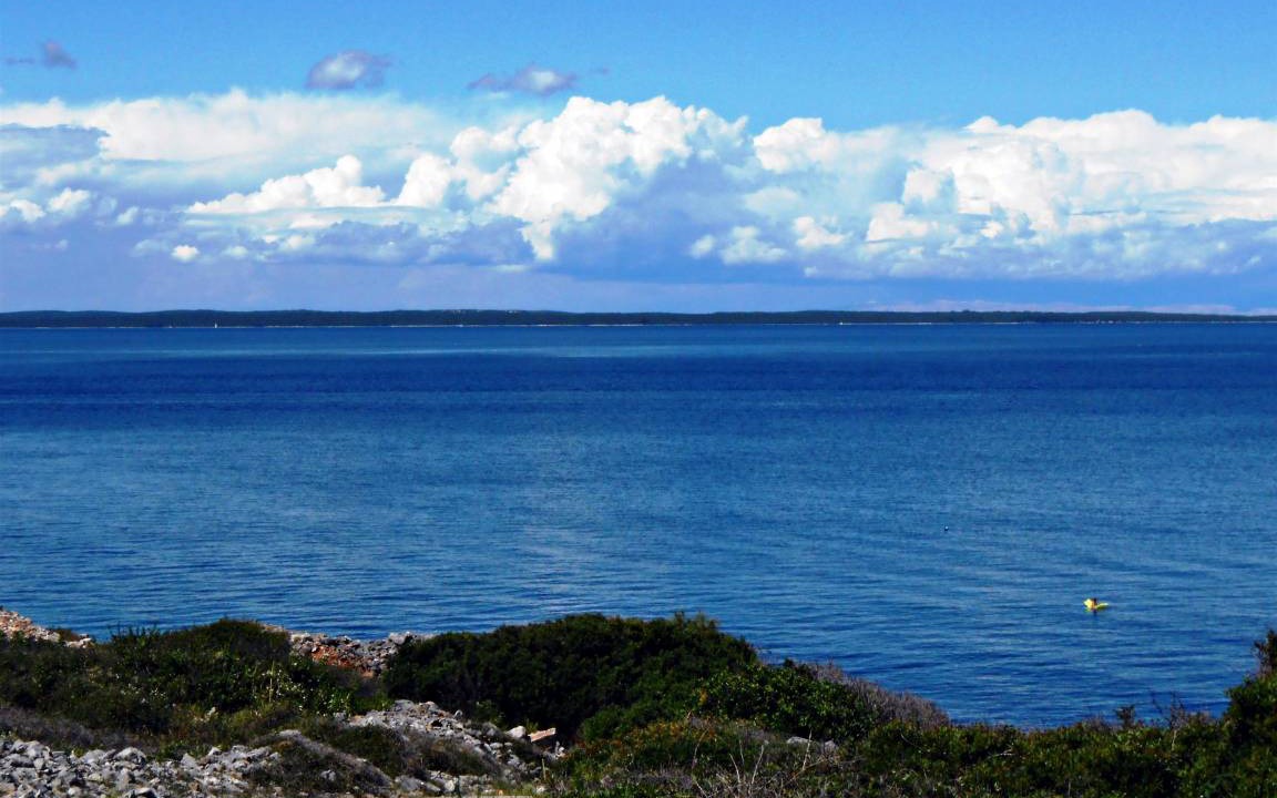 Photo of Others in Cove Murtar