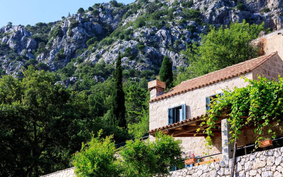 Photo of Others in Mihanici
