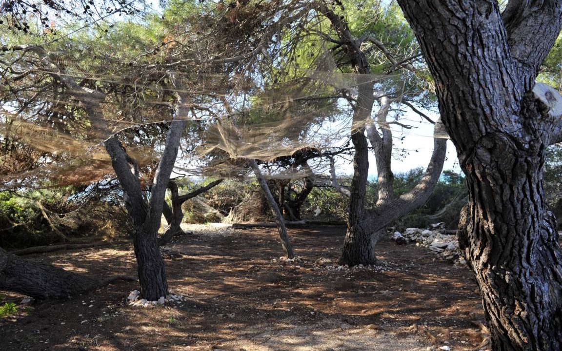 Photo of Others in Dragove