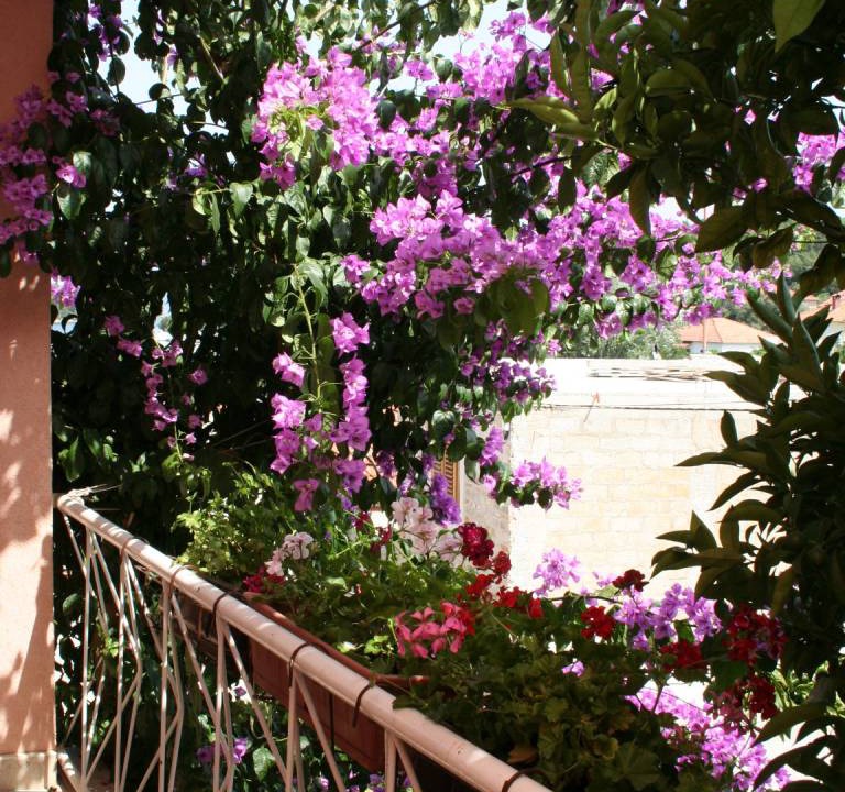 Photo of Others in Vrboska