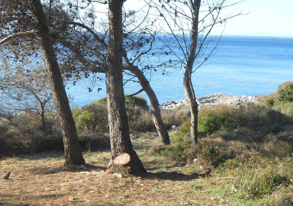 Photo of Others in Cove Murtar