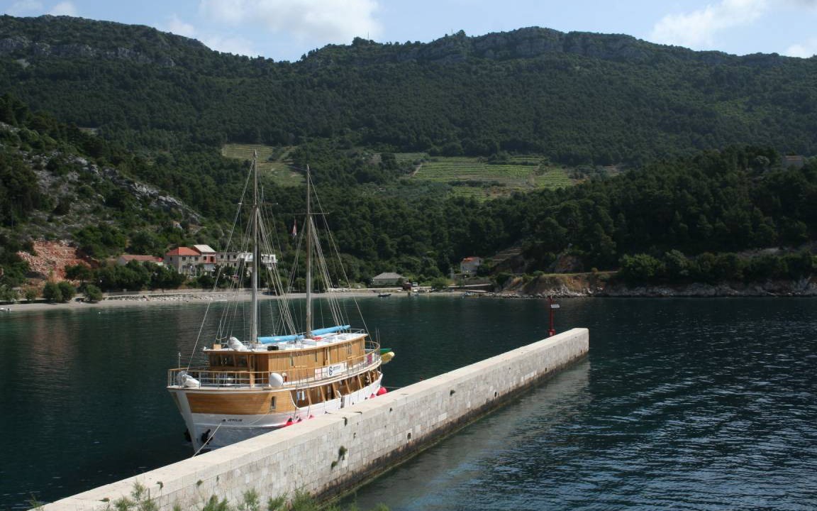 Photo of Others in Trstenik