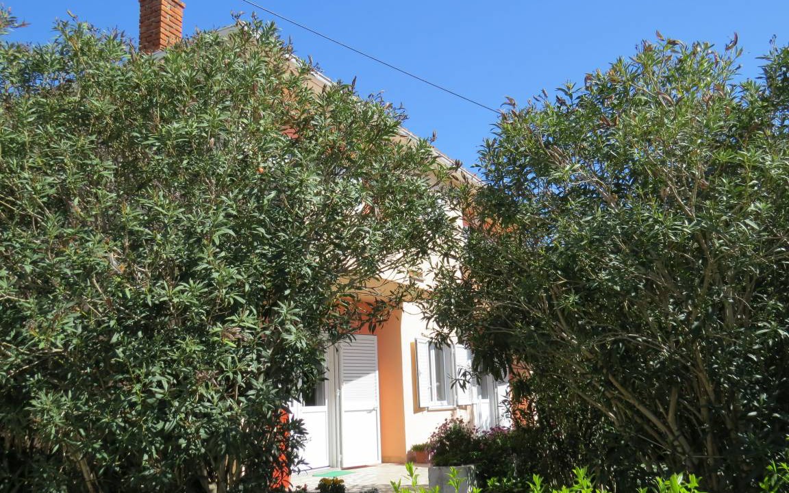 Photo of Others in Zrce