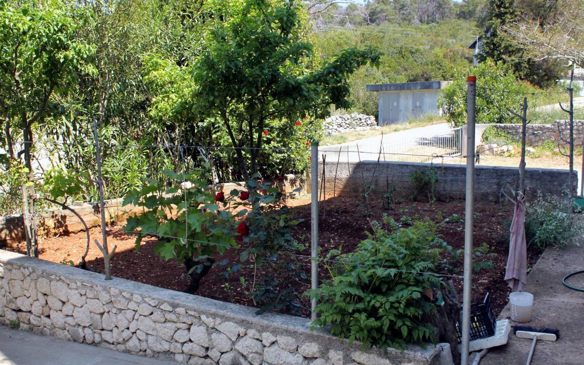 Photo of Others in Molat
