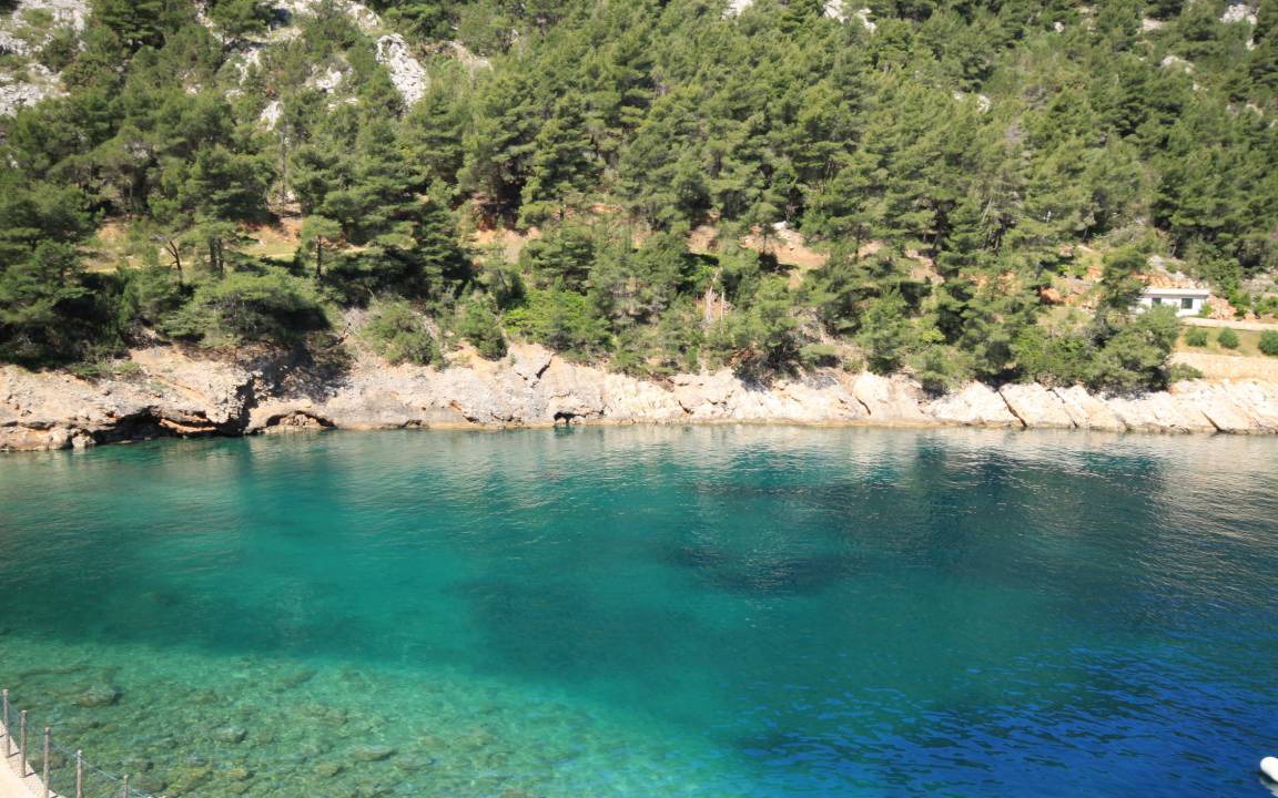 Photo of Others in Bogomolje