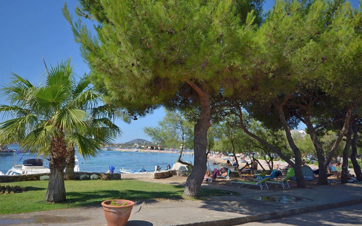 Photo of Others in Srima