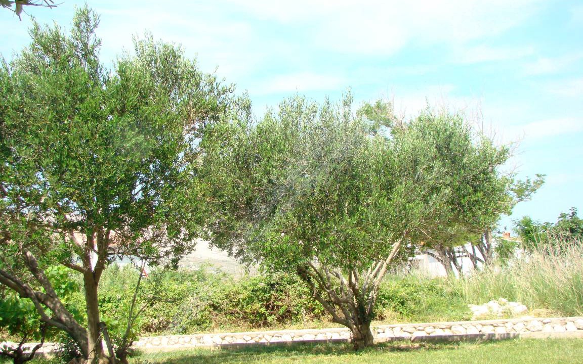 Photo of Others in Pag