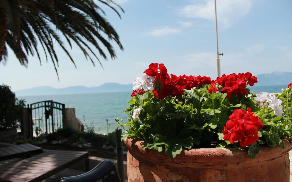 Photo of Others in Gradac