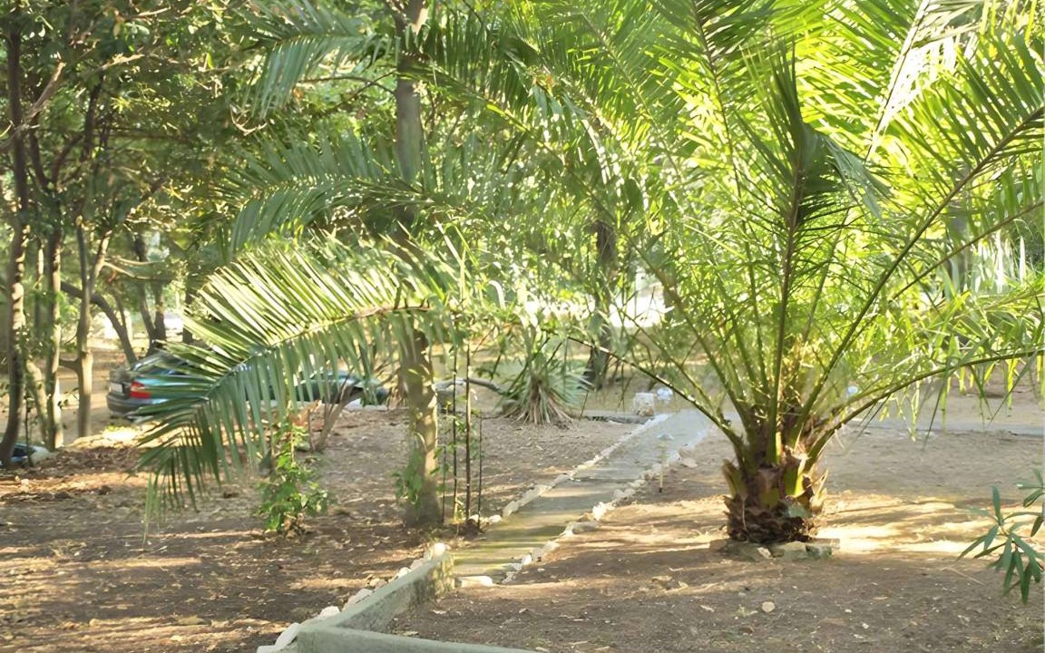 Photo of Others in Cove Murtar
