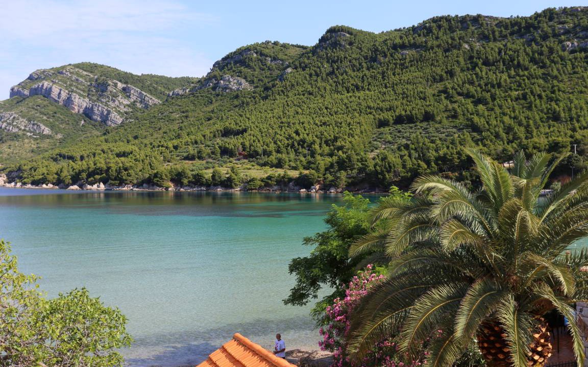 Photo of Others in Zuljana