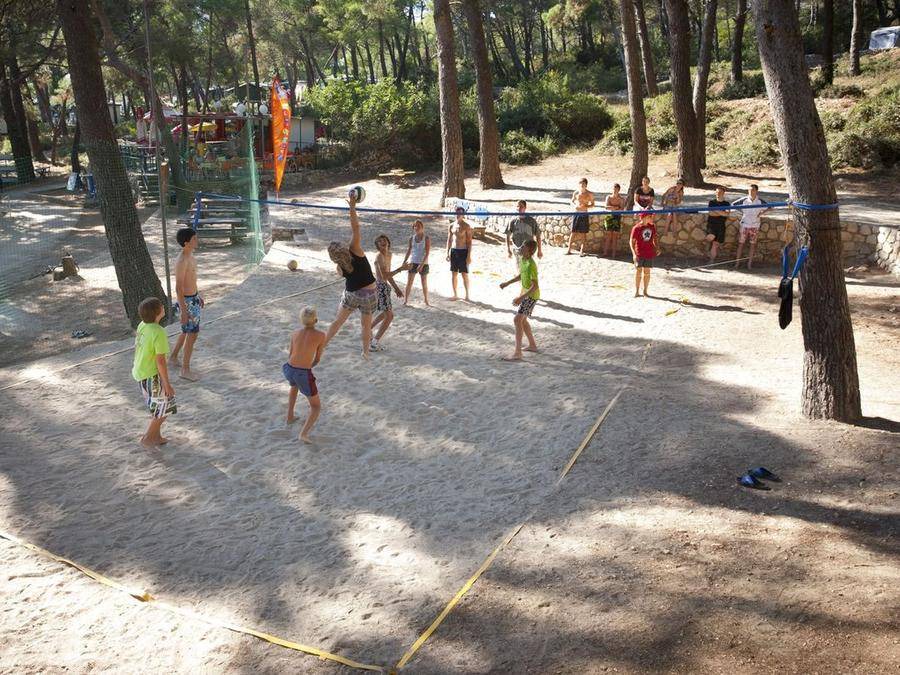 Photo of Others in Cove Murtar