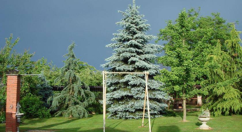 Photo of Outdoor in Municipality of Krizevci