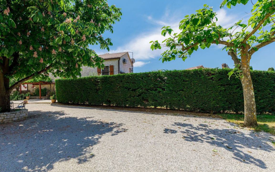 Photo of Others in Medvidici