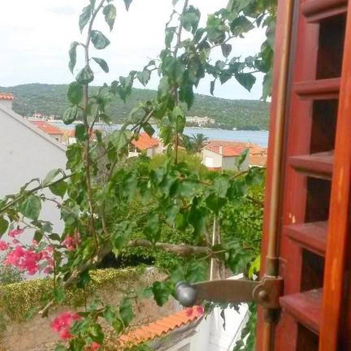 Photo of Others in Vis