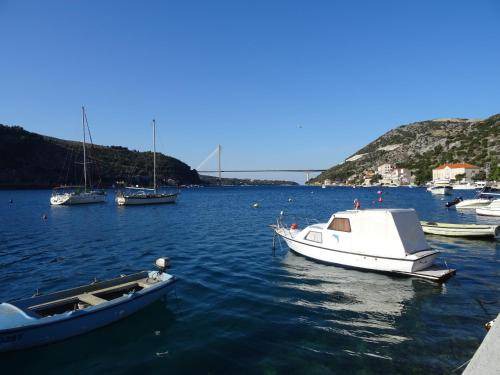 Photo of Outdoor in Mokosica