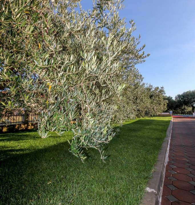 Photo of Outdoor in Nevidane