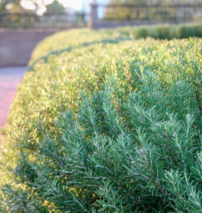 Photo of Outdoor in Nevidane