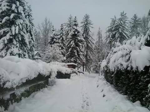 Photo of Others in Podgaric